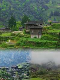 雀鳥村，一個古樸寧靜的苗寨