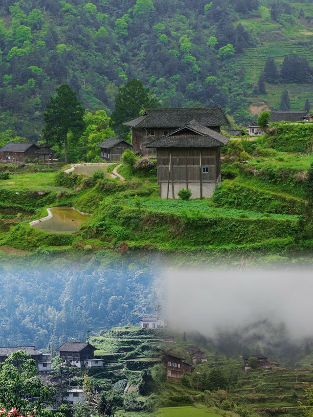 雀鳥村，一個古樸寧靜的苗寨