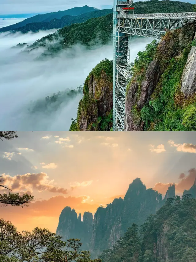 ลิฟต์ตรงไปยังทะเลเมฆชมพระอาทิตย์ขึ้น! ชอบมากกับภูเขาในหูหนานที่ไม่ต้องปีนป่าย