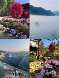 暑假避暑好去處雲冰山遺落人間的仙境
