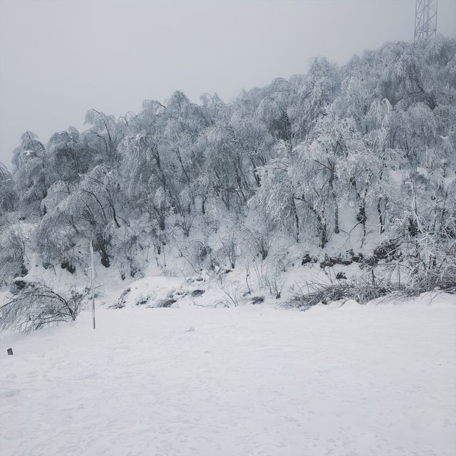 西嶺雪山