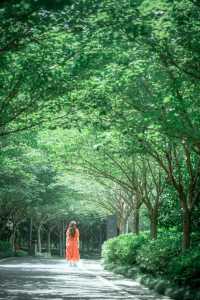 在武漢找到一座像千尋神公園