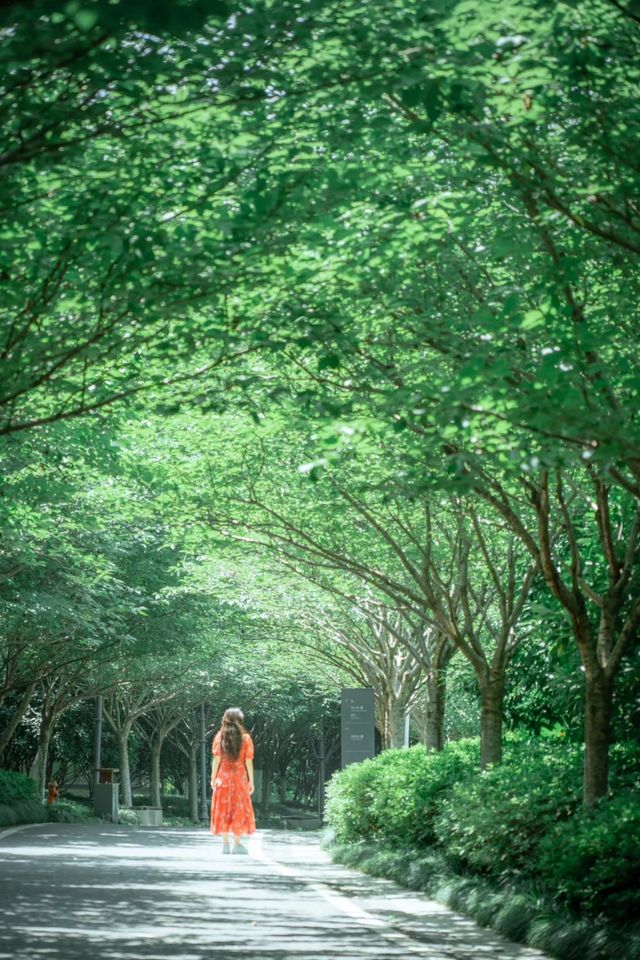 在武漢找到一座像千尋神公園