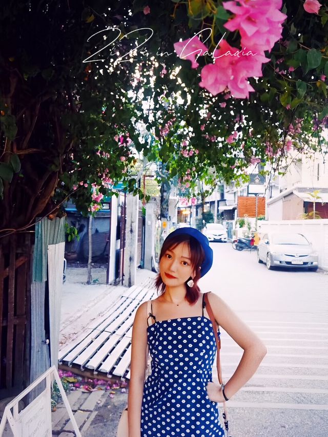 清邁春季city walk 賞花好去處適合春季旅行