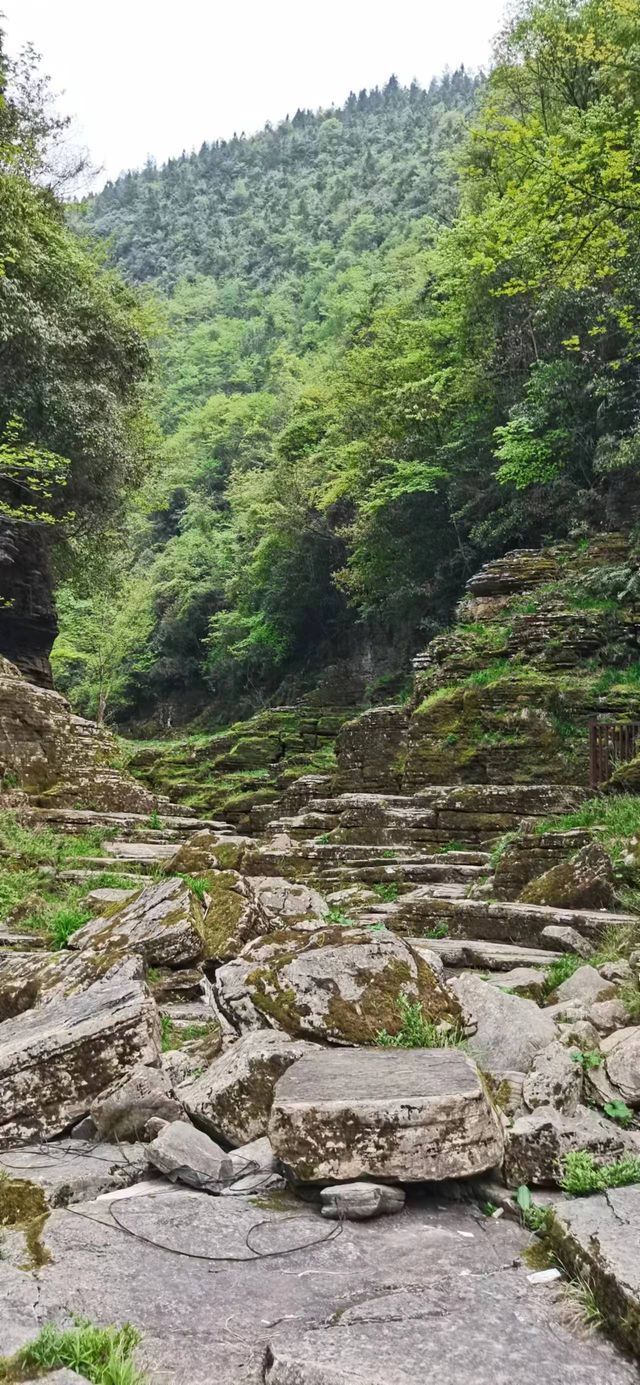 清江古河床精華路線全攻略。