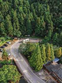 自駕長沙絕美無人森林公路，去感受林中自由的風