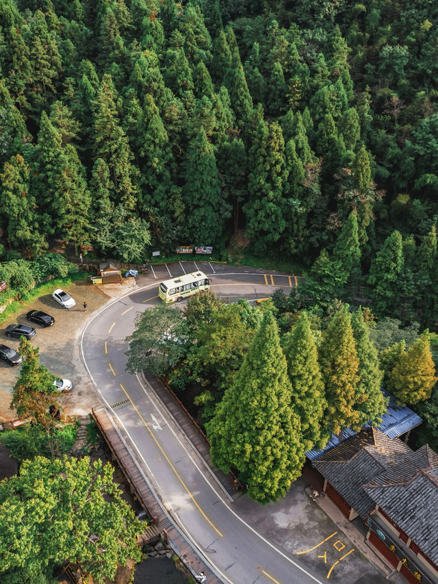 自駕長沙絕美無人森林公路，去感受林中自由的風