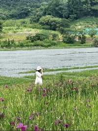 原以為東錢湖利民村已經夠美了，直到我來了錢湖秘境