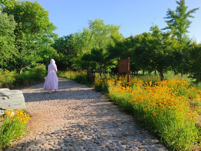 解鎖金山淇河文化旅遊區的奇幻之旅