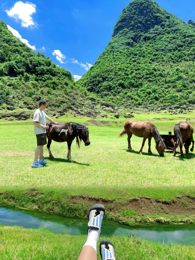 一不小心掉入人類的抹茶世界哈
