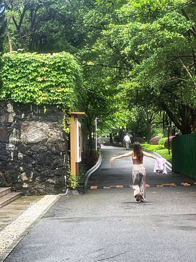 後悔來晚了！惠州免費原始森林瀑布