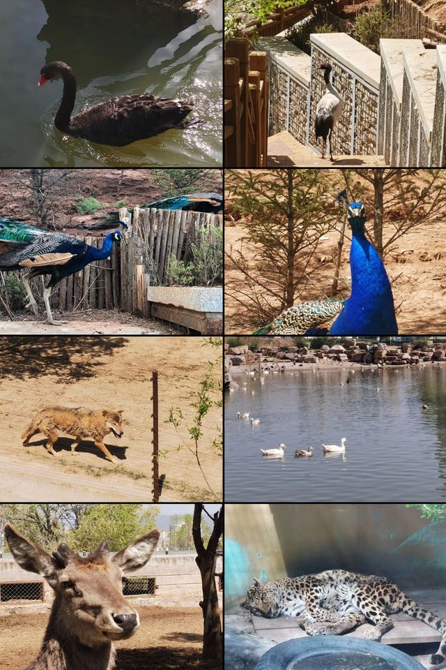 意猶未盡的西寧旅行，從優越的入住體驗開始