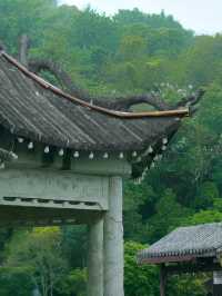 慈溪峙山公園|出太陽啦快出門玩吧~