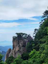 九華山天台我也登上了哈