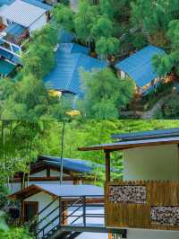藏匿於深山竹林處的小屋，太美了！