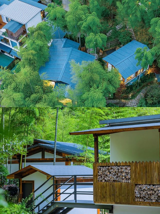藏匿於深山竹林處的小屋，太美了！