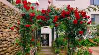 黃山民宿|花園院子 花園餐廳|戶外泳池