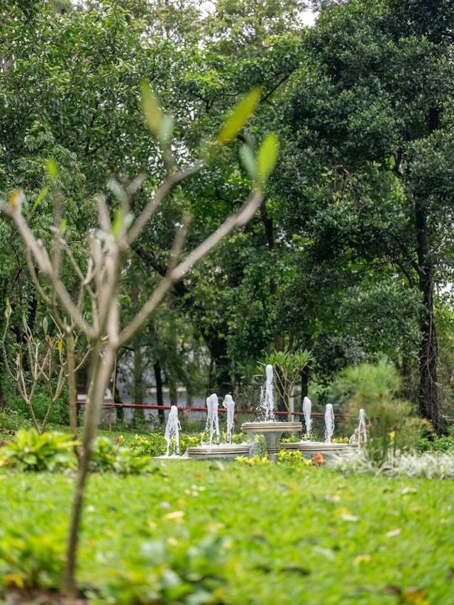Coorg's Luxe Retreat: Marriott Resort & Spa 🌴🏨