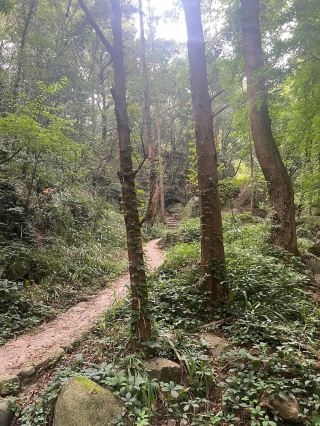 雞公山風景太美了
