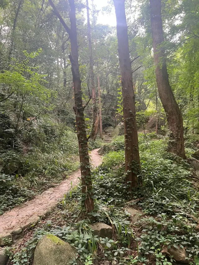 雞公山風景太美了
