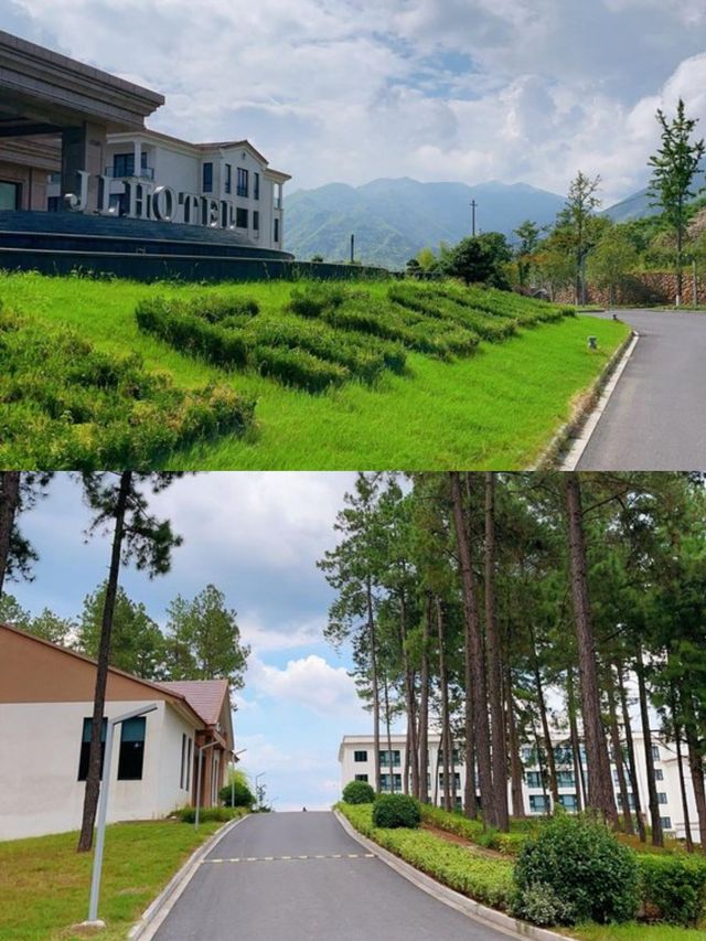 雷迪森怿曼|隱匿於茶香竹逸的溜娃好去處
