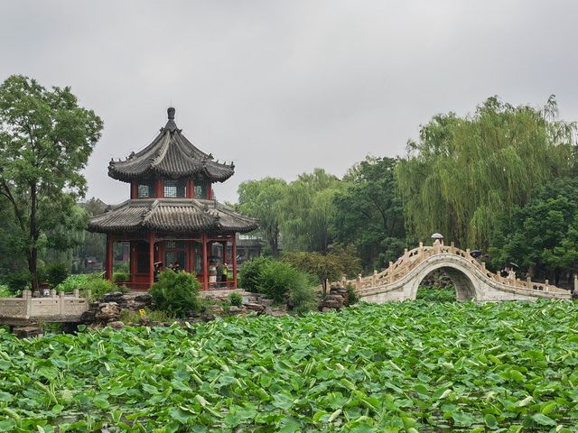 河北保定蓮花書院。