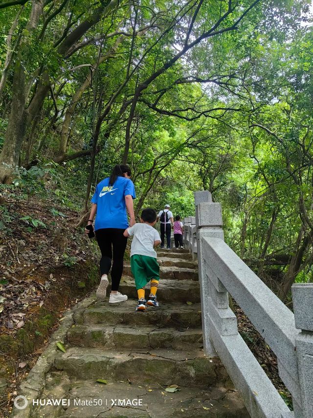 廣東名山:西樟山。