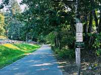 西雅圖自然之旅｜探索伊薩誇的「Jakob Two Tree」。