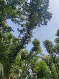 武漢 | 青龍山 | 一起徒步+快樂吸氧。