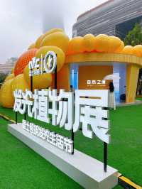在上海與大自然一起感受「光合作用」。
