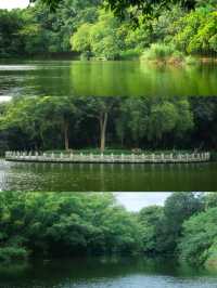 總有一次在公園相遇吧，我怕我會愛上這裡。