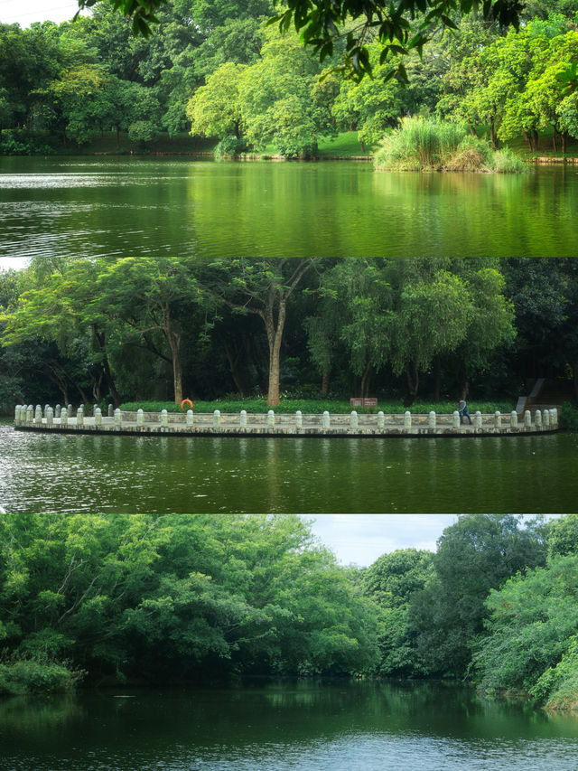 總有一次在公園相遇吧，我怕我會愛上這裡。