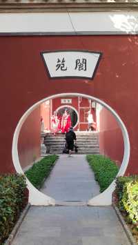武漢長春觀｜美哭！遠離喧囂的賞銀杏地。