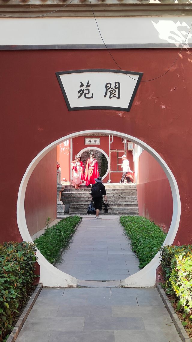 武漢長春觀｜美哭！遠離喧囂的賞銀杏地。