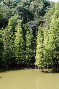 偶爾出去呼吸一下新鮮空氣也還不錯。