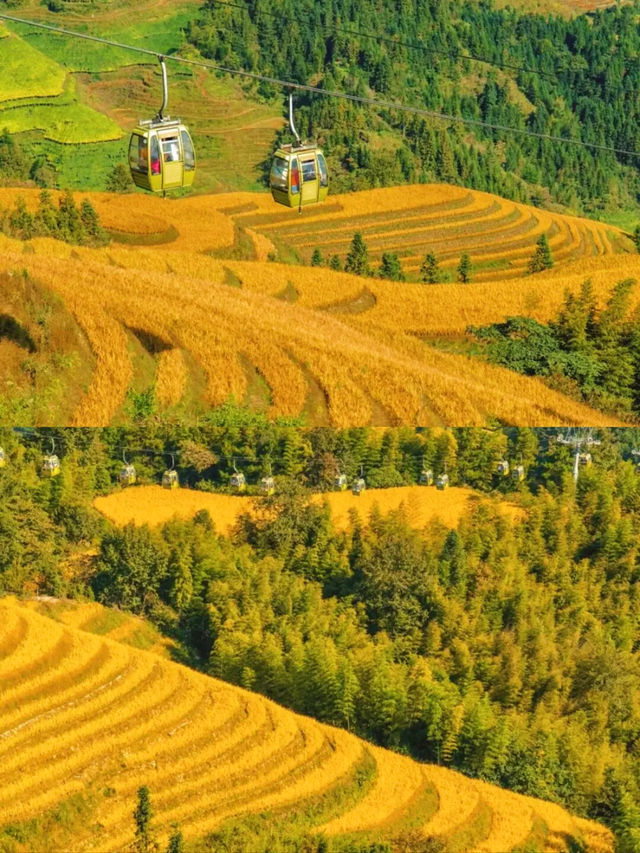 我在廣東，找到了秋日童話。