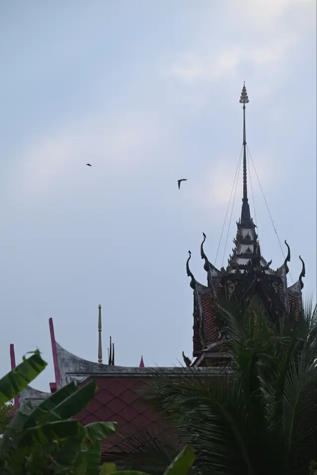 태국의 숨겨진 아름다운 정원 🪻|해변 도시 후아힌