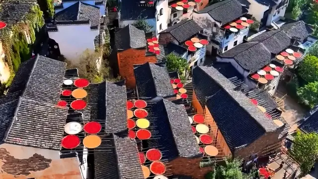 Wuyuan Autumn Sun-drying Harvest, Experience the Most Authentic Rural Scenery