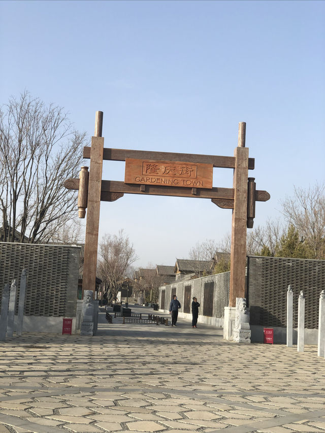 北京遊之四：冬天的世園公園。