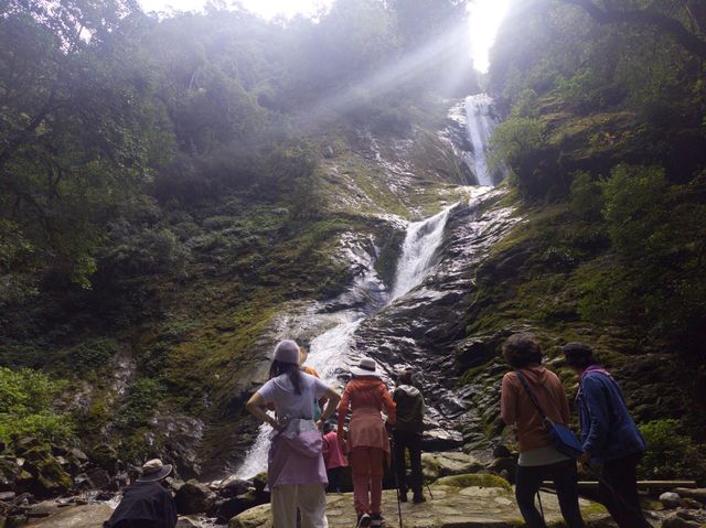 秋日吸氧之旅～探秘原始森林深處。