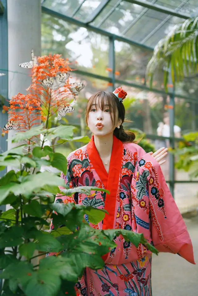 No Goodbyes to the Sun | Okinawa Travel Guide Part 1 (Food and Attractions)