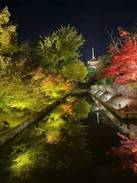 Kyoto Night Maple Viewing - Toji Temple is Stunning!