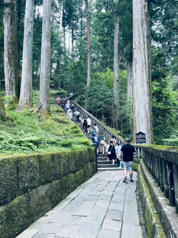 Exploring the Historic Nikko Toshogu Shrine