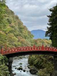 World Heritage 'Shrines and Temples of Nikko'｜Toshogu Shrine｜Nikko