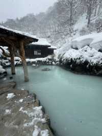 Experience the Enchanting Snowy Wonderland of Japan