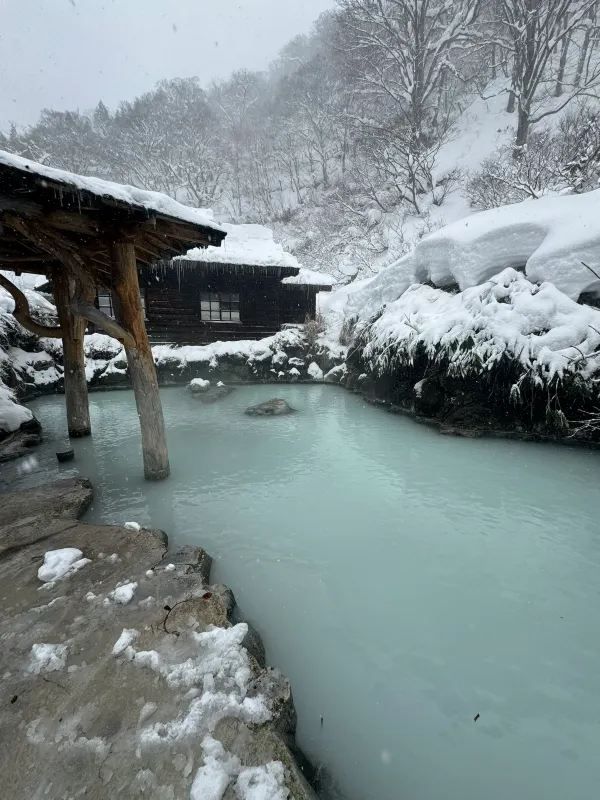 Experience the Enchanting Snowy Wonderland of Japan