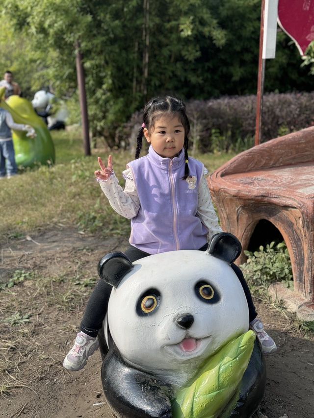南通 | 森林野生動物園   非常適合帶小朋友。
