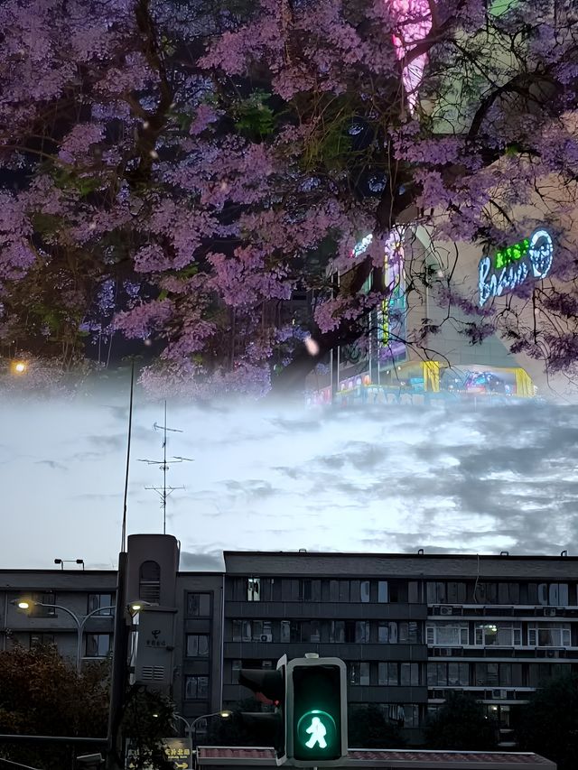 成都｜339｜奇幻夜境，煙火綺夢。