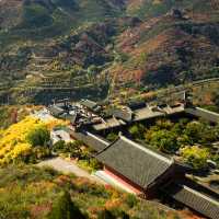 太山紅葉之旅。