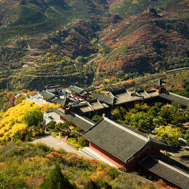 太山紅葉之旅。